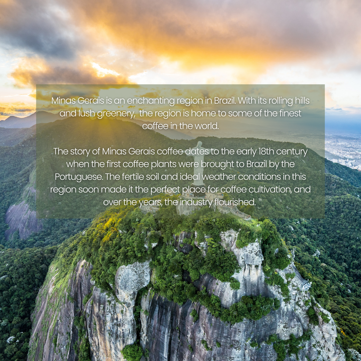 Caffé Monte | Artisano Espresso