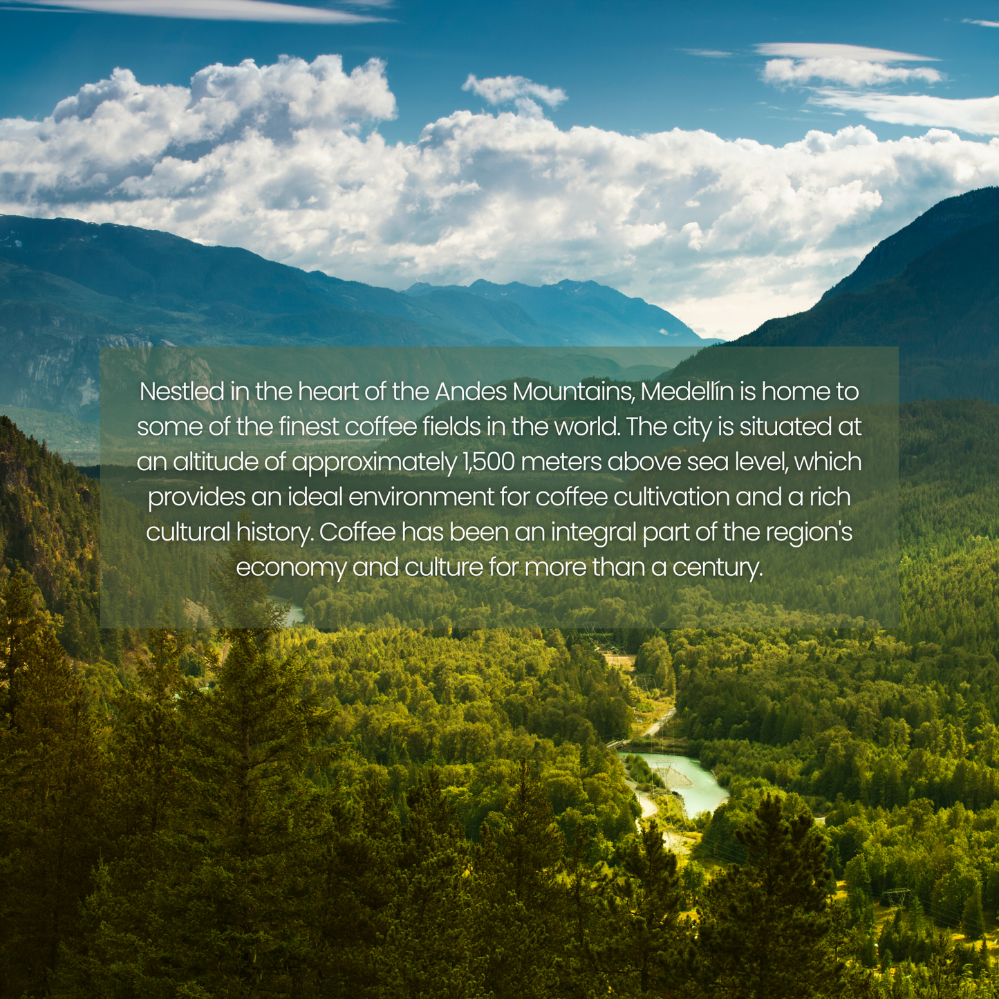 Caffé Monte | Origin Antioquia Columbia