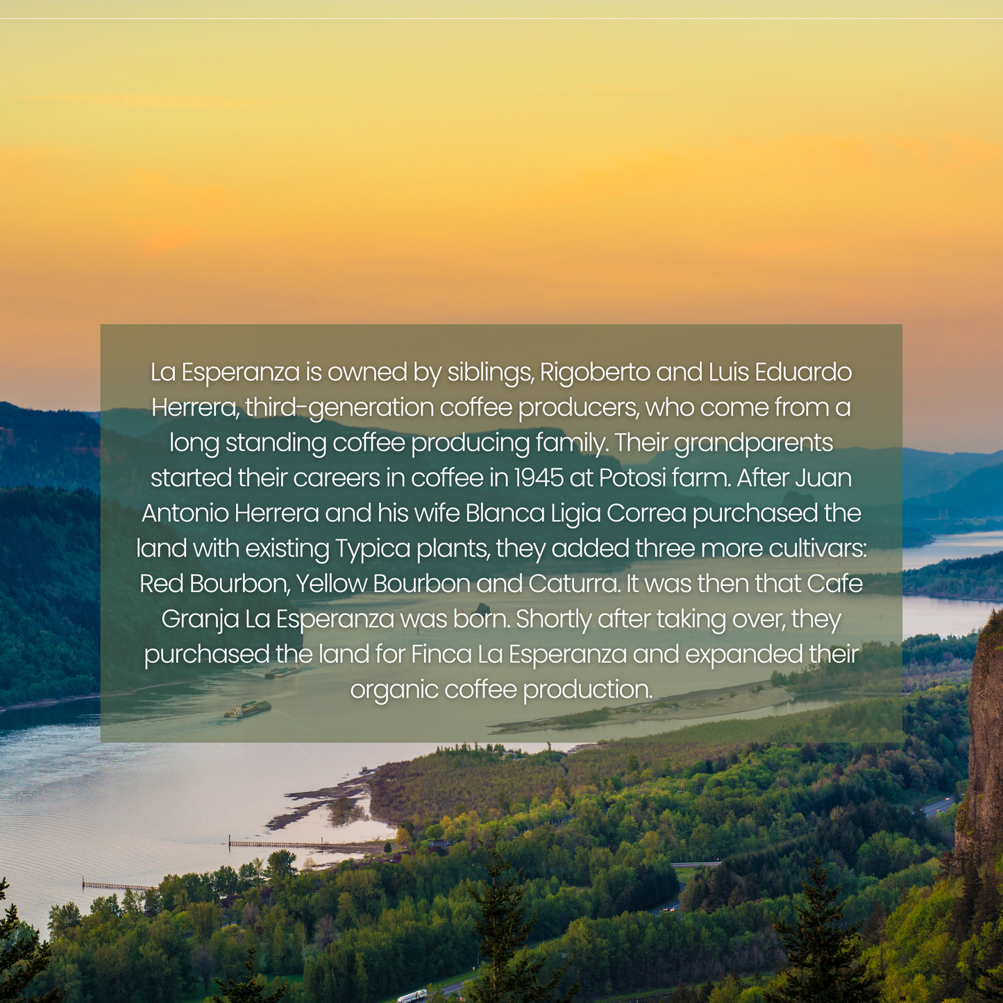 Rosso | La Esperanza Washed